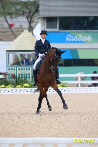 equitation - brieussel 1