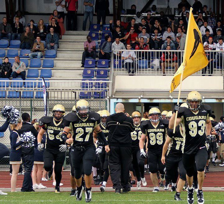 cougars